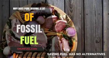 Pork's Hidden Cost: Fossil Fuel Dependency in Meat Production