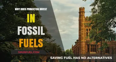 Princeton's Fossil Fuel Investments: Ethical Dilemma or Strategic Choice?