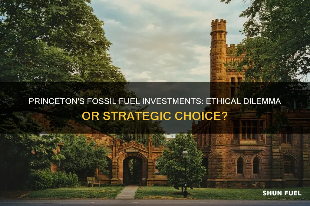 why does princeton invest in fossil fuels