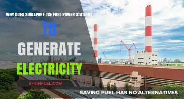 Singapore's Reliance on Fuel Power Stations for Electricity Generation