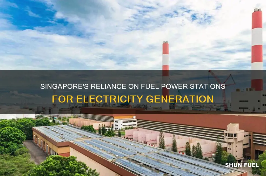 why does singapore use fuel power stations to generate electricity