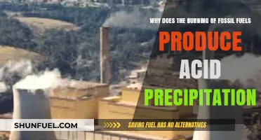 Fossil Fuels and Acid Rain: Unraveling the Chemical Connection