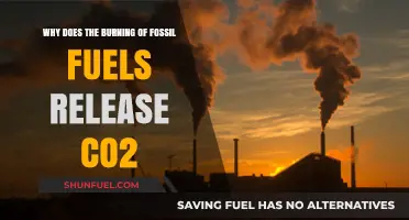 Fossil Fuels and CO2: Unraveling the Combustion Connection