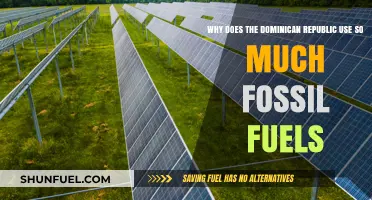 Dominican Republic's Reliance on Fossil Fuels: Why?