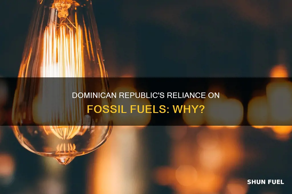 why does the dominican republic use so much fossil fuels