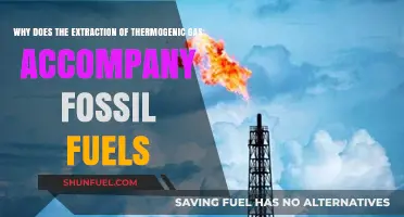 Thermogenic Gas Extraction: Unraveling Its Link to Fossil Fuel Production