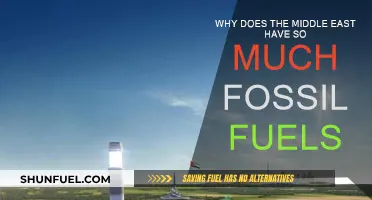 Middle East Fossil Fuels: A Geologic Windfall