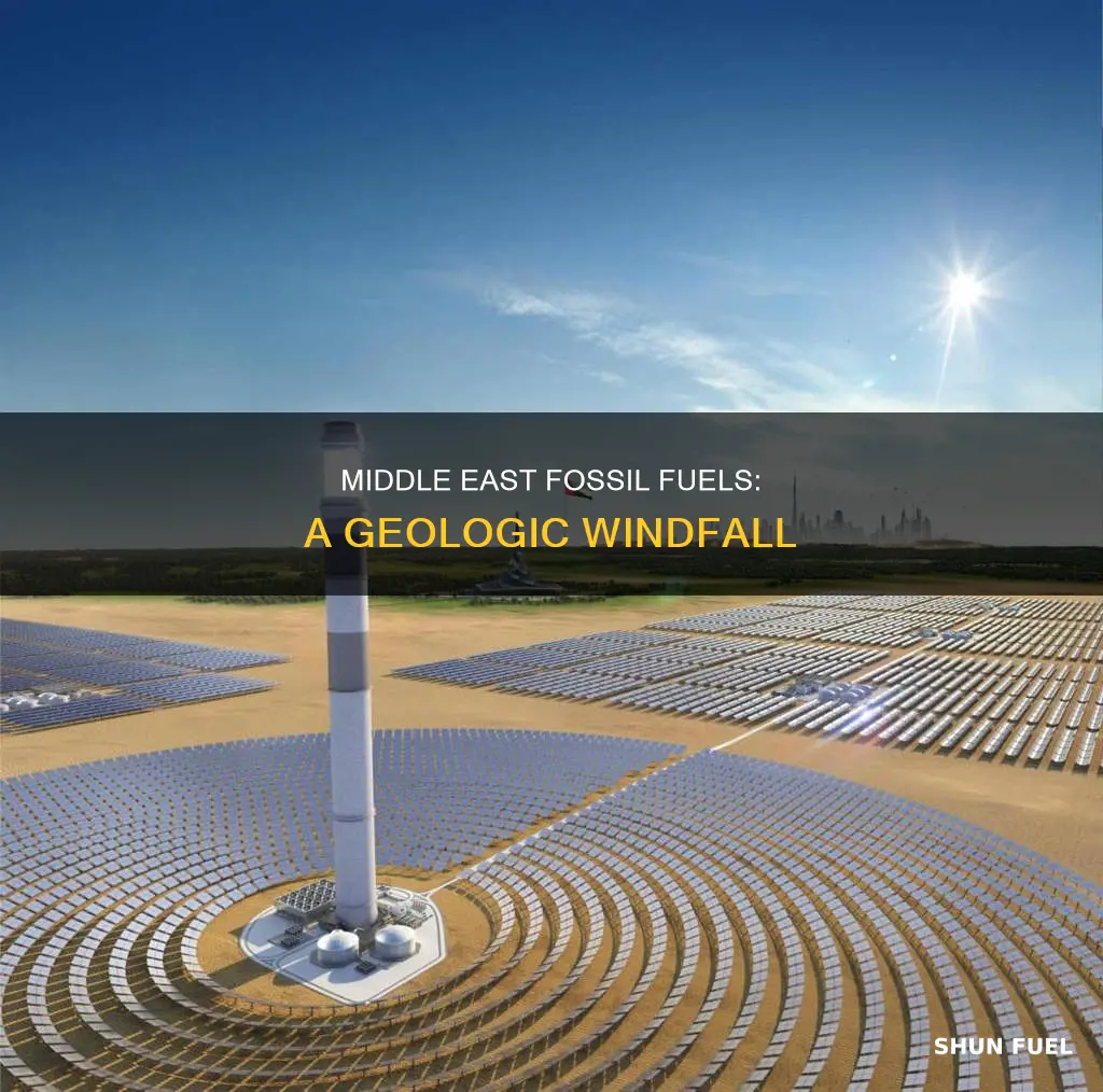 why does the middle east have so much fossil fuels