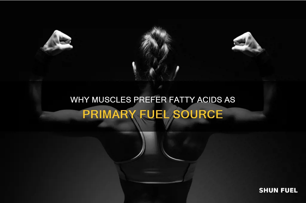 why does the muscle use fatty acids as fuel