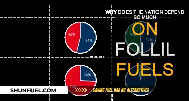 The Nation's Addiction to Fossil Fuels: Why the Dependence?