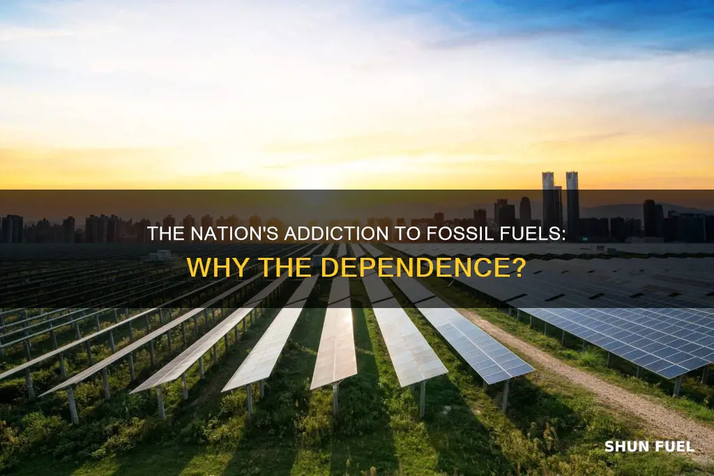 why does the nation depend so much on follil fuels