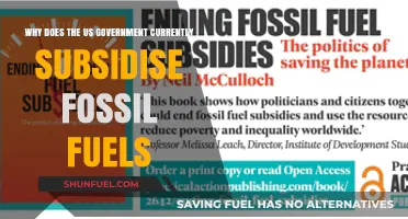 Why the US Government Still Subsidizes Fossil Fuels Today