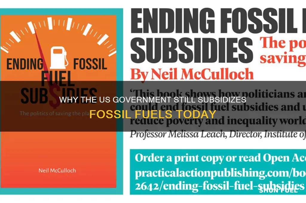 why does the us government currently subsidise fossil fuels