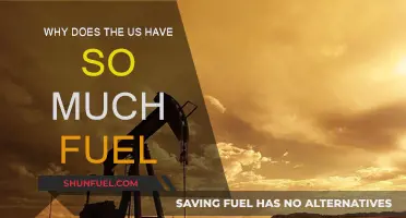 The US Fuel Supply: A Surplus Story