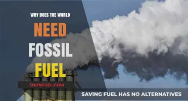 Why Fossil Fuels Remain Essential for Global Energy Needs