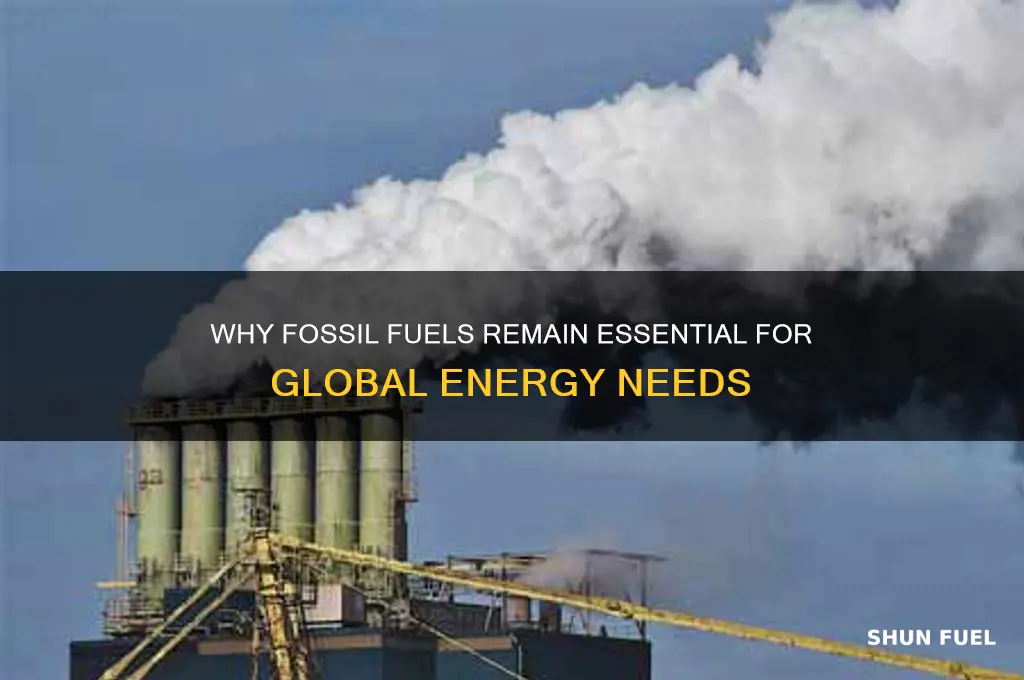 why does the world need fossil fuel