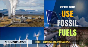 Turkey's Fossil Fuel Dependence: Why and What For?