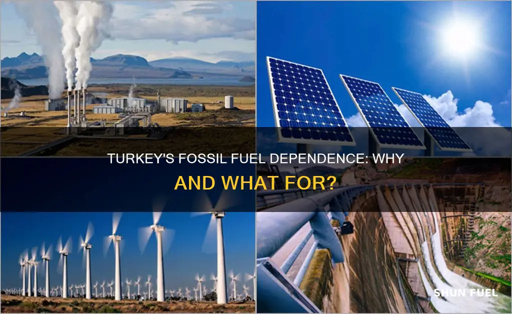 why does turkey use fossil fuels
