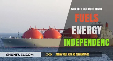 Why the US Exports Fossil Fuels Despite Energy Independence Goals