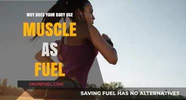 Why Your Body Burns Muscle for Fuel: Understanding Metabolic Priorities