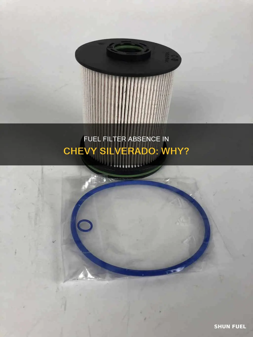why doesnt chevy 2004 silverado have a fuel filter