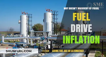 Fossil Fuel Discoveries: Why They Don't Spark Inflationary Pressures