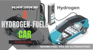Hydrogen Cars: Why Aren't They Everywhere?