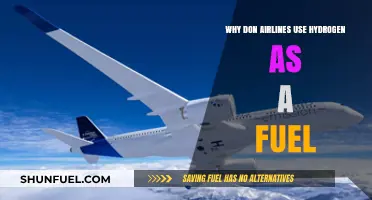 Hydrogen Fuel for Airlines: Challenges and Future Possibilities Explained