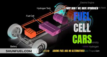 Hydrogen Fuel Cells: Why the Slow Rollout of Cars?