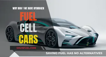 Hydrogen Fuel Cell Cars: A Dream Deferred