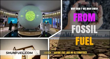 Breaking Free: The Urgent Need to Abandon Fossil Fuels Now