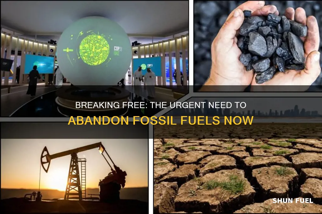 why don t we mov away from fossil fuel