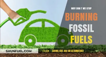 Ending Fossil Fuel Dependence: Barriers and Pathways to a Sustainable Future