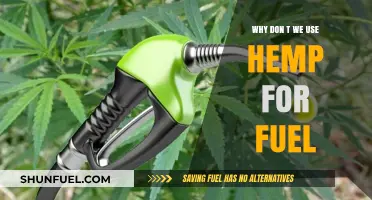 Unlocking Hemp's Potential: Why Isn't It Powering Our Future?