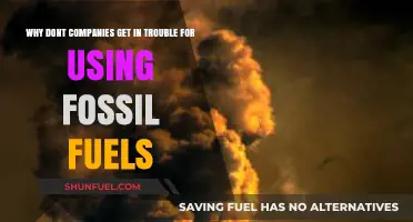 Why Companies Avoid Accountability for Fossil Fuel Use: Explained