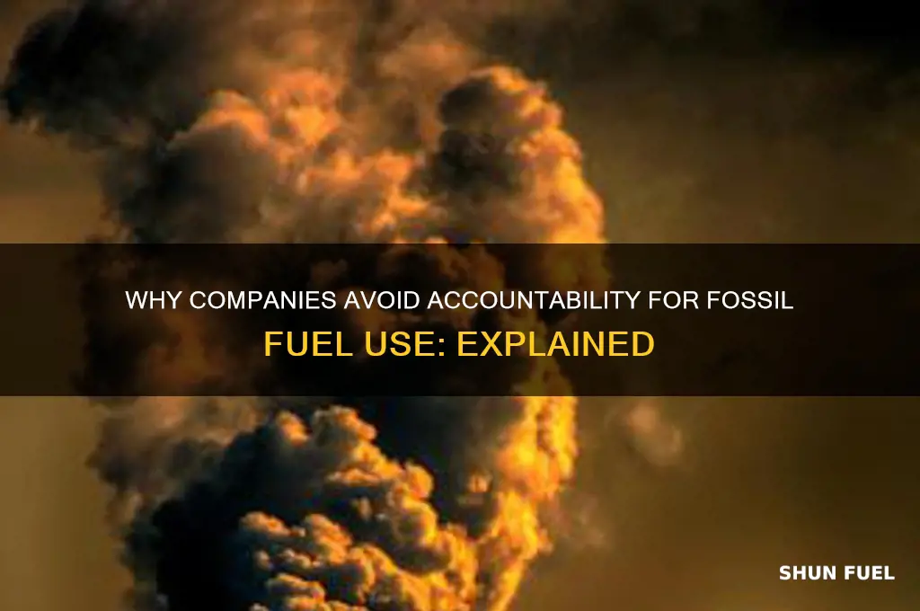 why dont companies get in trouble for using fossil fuels