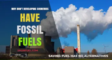 Why Developing Nations Lack Fossil Fuels: Uncovering the Energy Divide