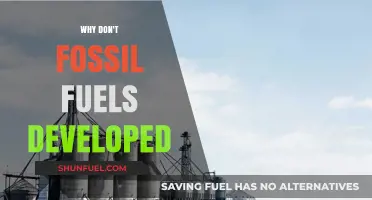 Why Fossil Fuels Never Fully Developed: Unraveling the Energy Paradox
