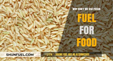 Fossil Fuels for Food? Unraveling the Unsuitable Energy-to-Edible Myth