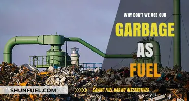Wasted Potential: Why Isn't Our Garbage Powering the Future?
