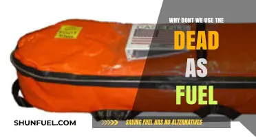 The Ethical and Practical Dilemma of Using Human Remains as Fuel