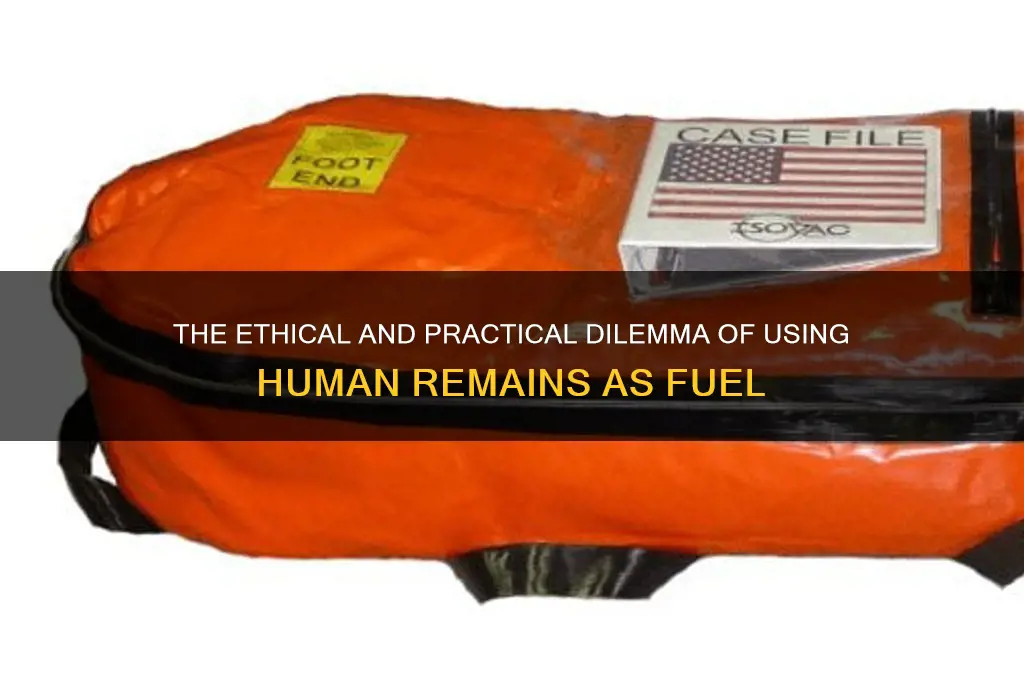 why dont we use the dead as fuel