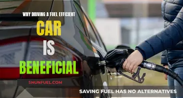 Fuel-Efficient Cars: Saving Money, Saving the Planet