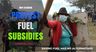 Ecuador's Fuel Subsidy Protests: A Fight for Economic Justice