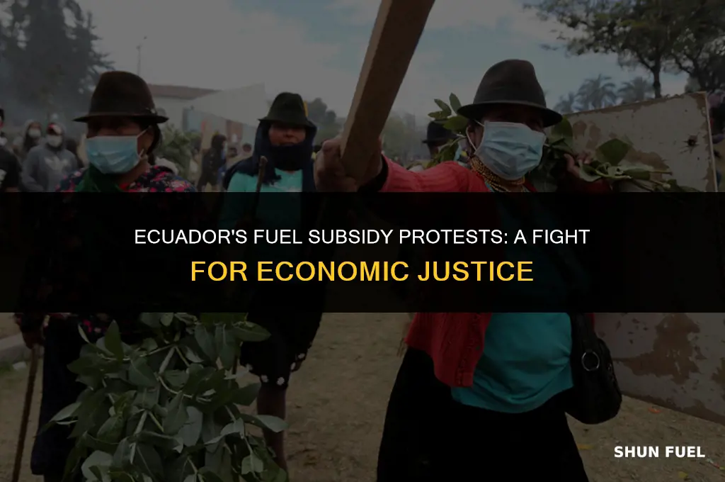 why ecuador protest fuel subsidies