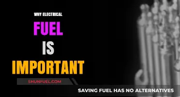 Powering the Future: The Indispensable Role of Electrical Fuel