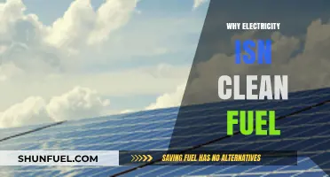 Powering a Greener Future: The Myths and Realities of Clean Electricity