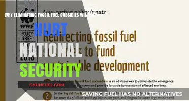 Ending Fossil Fuel Subsidies Strengthens, Not Weakens, National Security