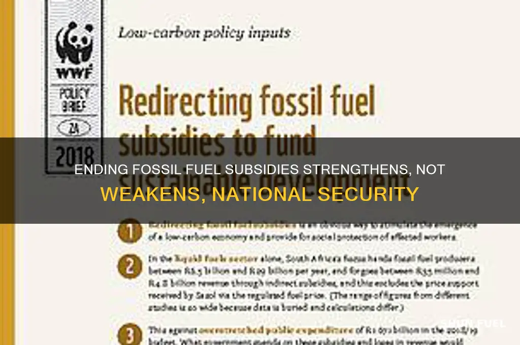 why eliminating fossil fuel subsidies will not hurt national security