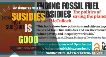 Ending Fossil Fuel Subsidies: A Win for Climate and Economy